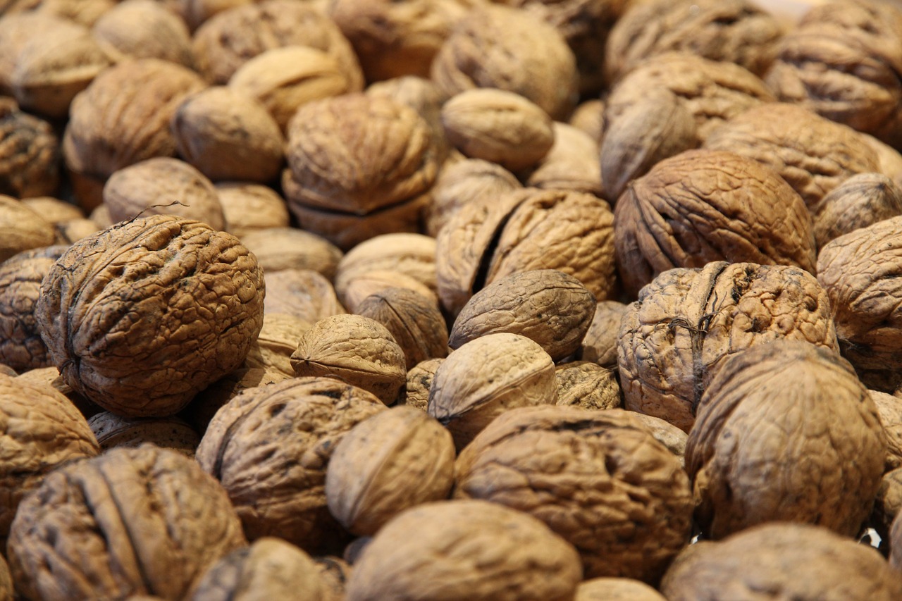 walnuts walnut nuts free photo