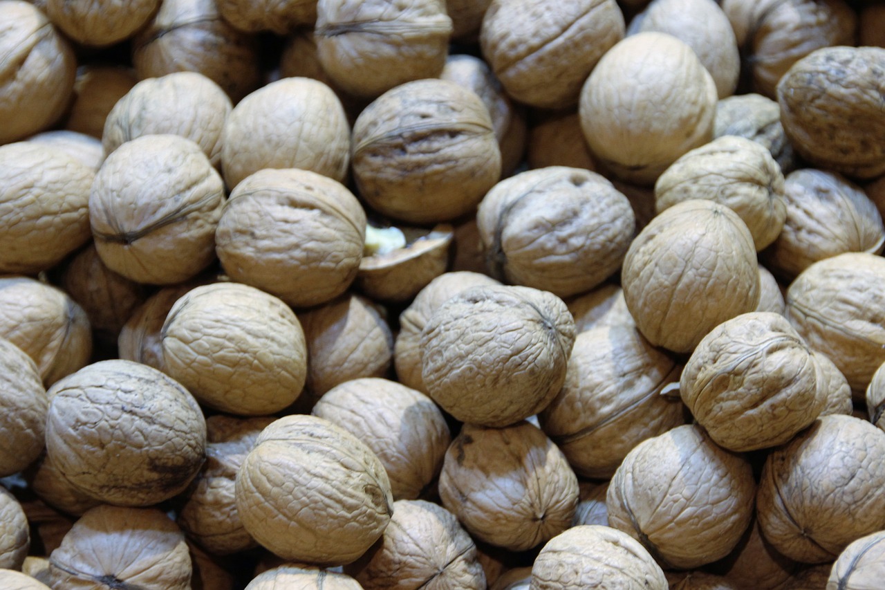 walnuts nuts macro free photo