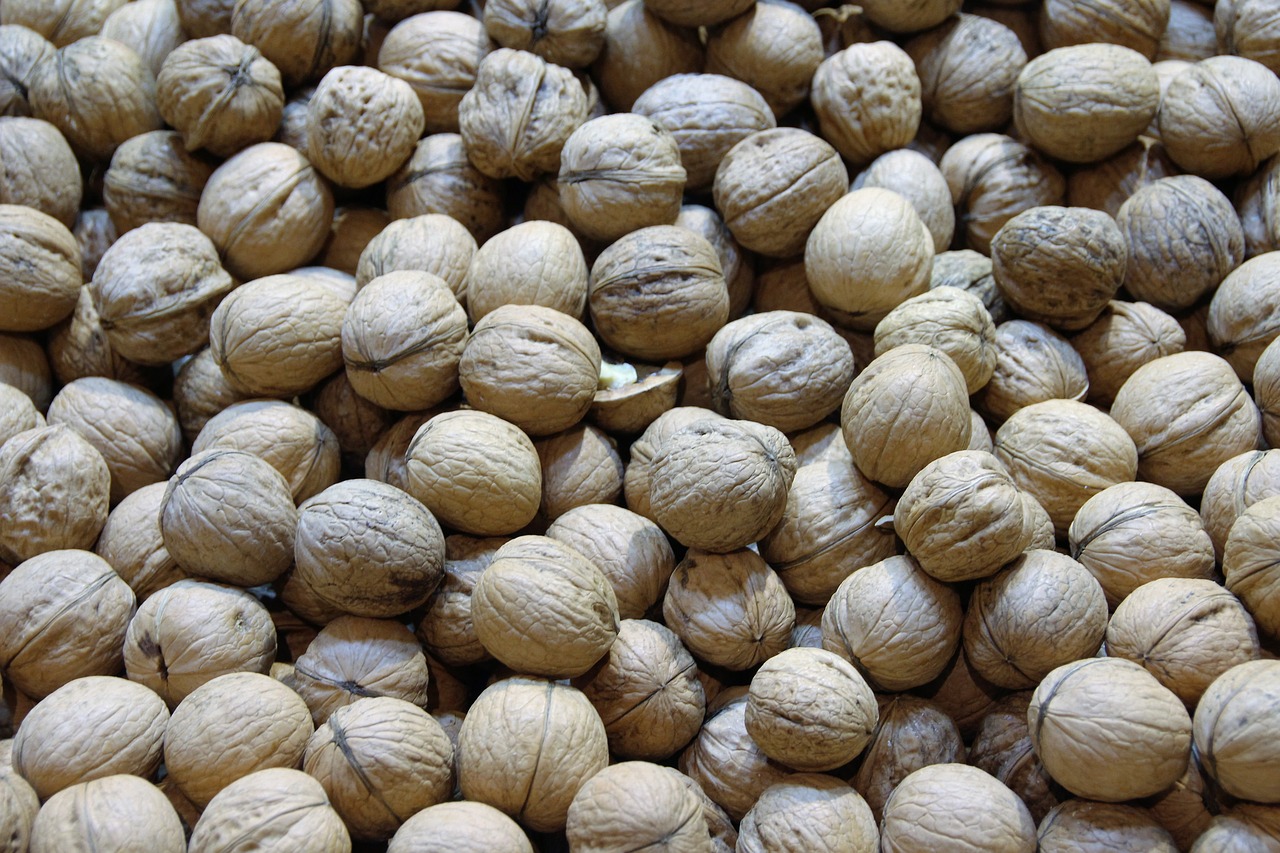 walnuts nuts macro free photo