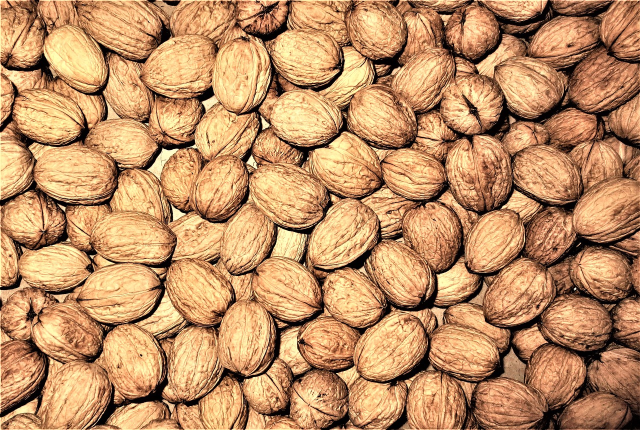 walnuts nuts fruit free photo