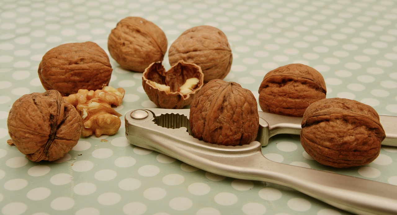walnuts nutcracker fruit bowl free photo
