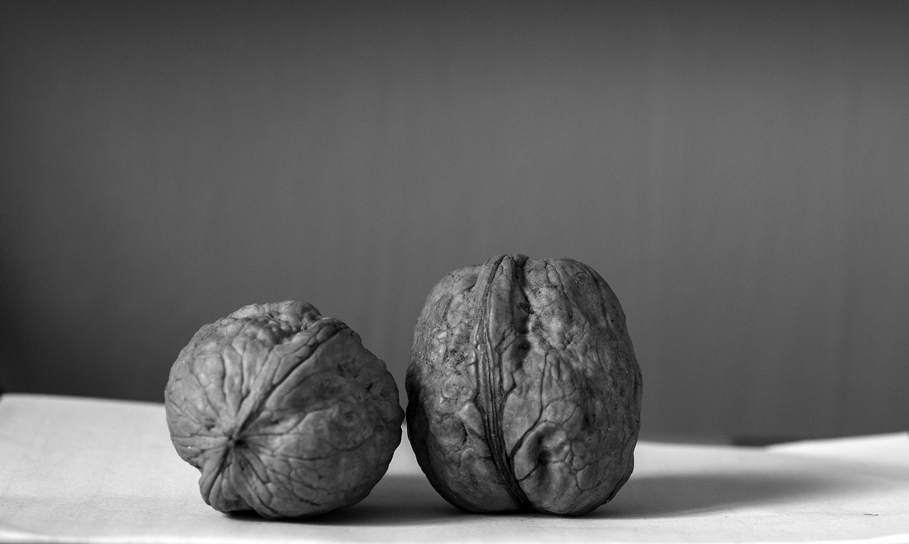 walnuts dried fruit sano free photo