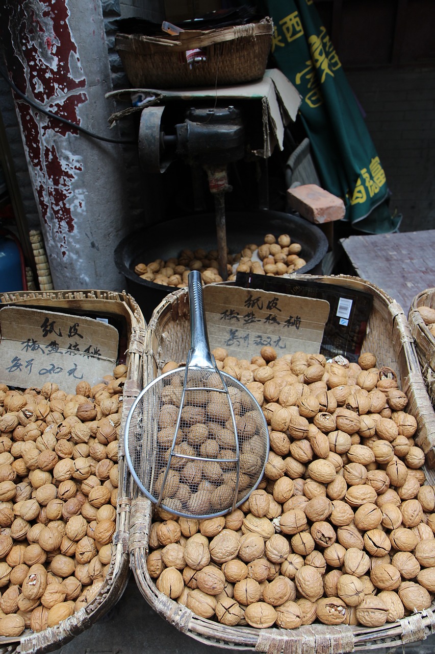 walnuts china xi'an free photo