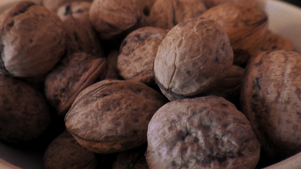walnuts  nuts  brown free photo