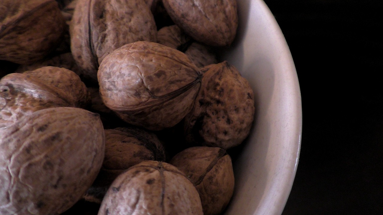 walnuts  nuts  walnut free photo