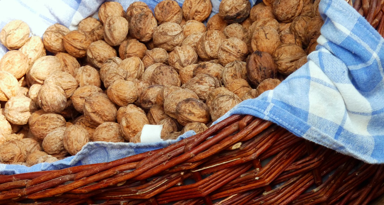 walnuts  nuts  shell free photo
