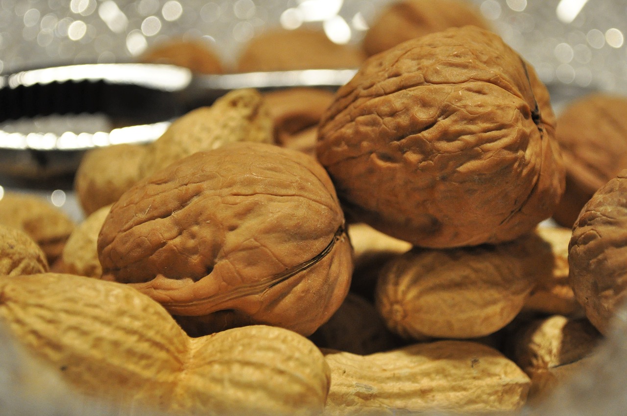 walnuts  nuts  dried fruit free photo