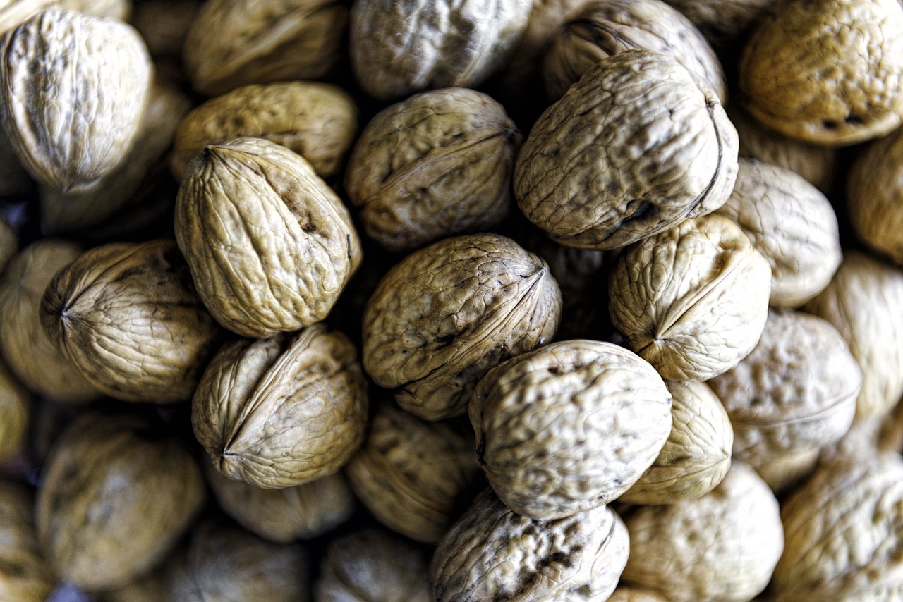 walnuts  shell  food free photo