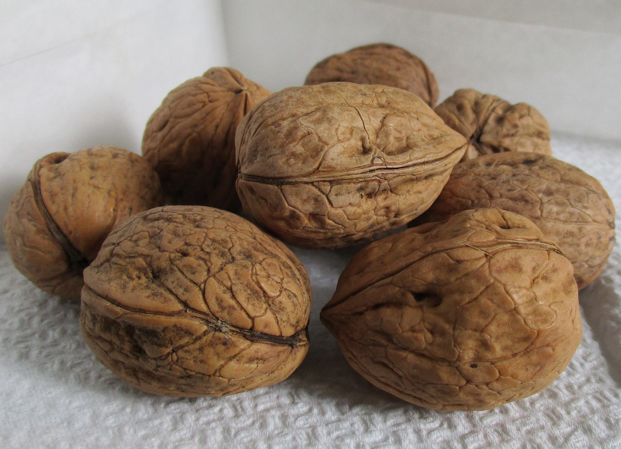 walnuts  shell  organic free photo