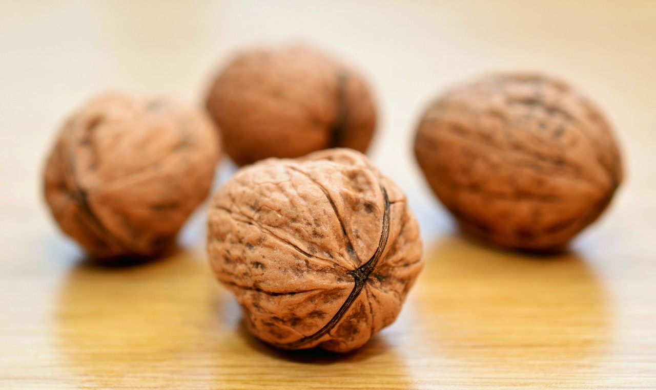 walnuts nuts healthy free photo