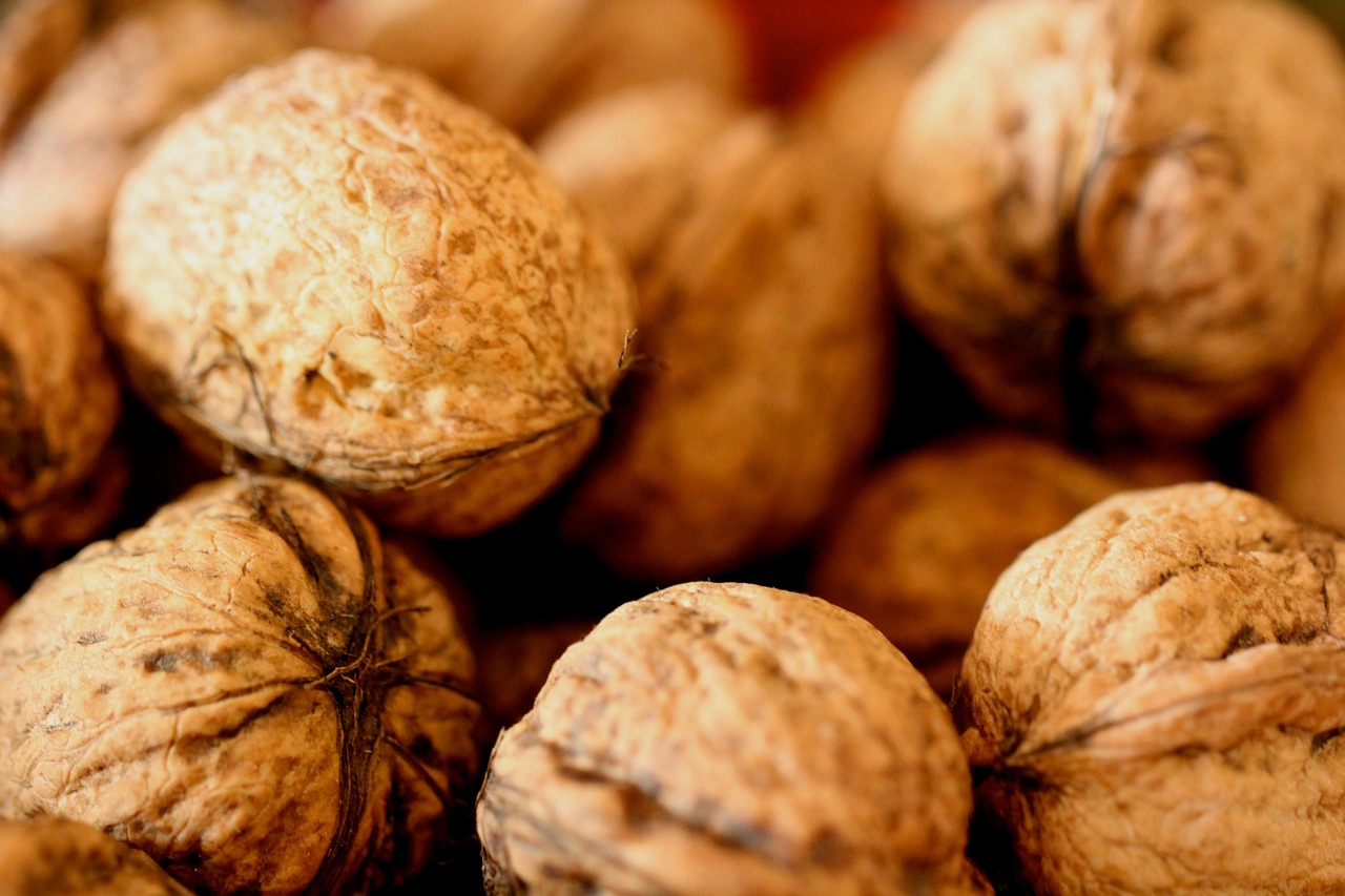 walnuts nuts christmas free photo