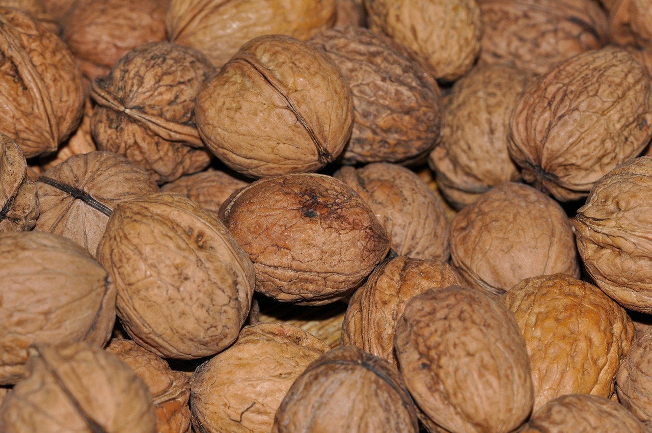 walnuts nut food free photo