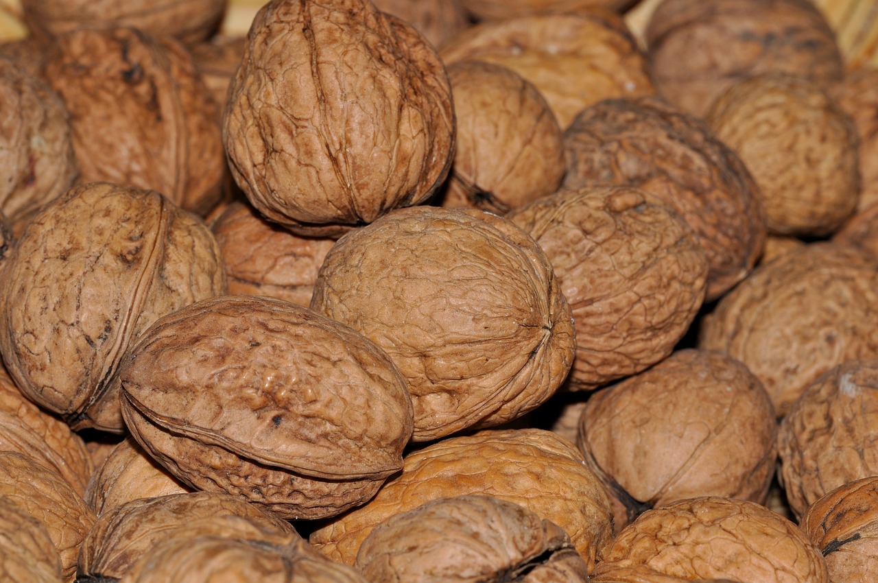 walnuts nuts healthy free photo