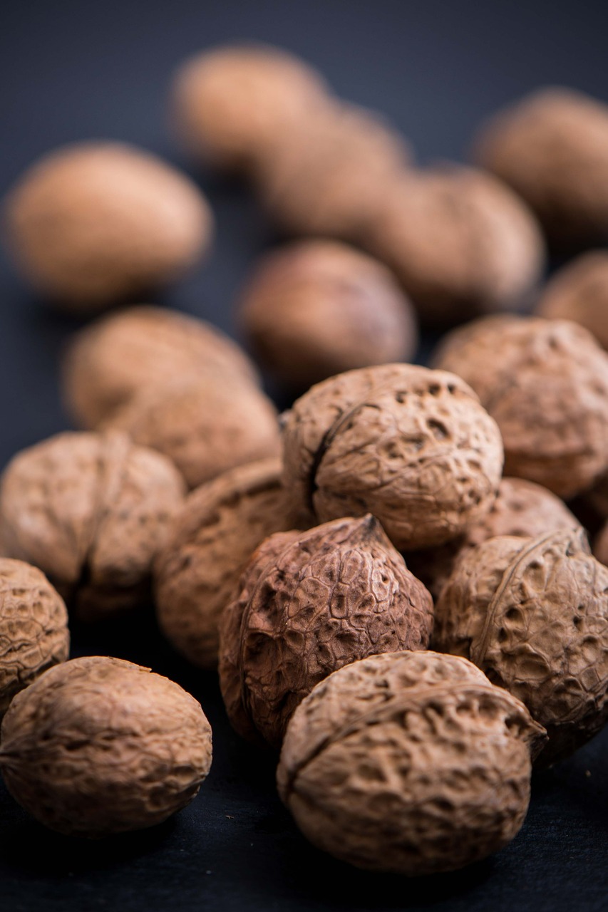 walnuts dried fruit food free photo