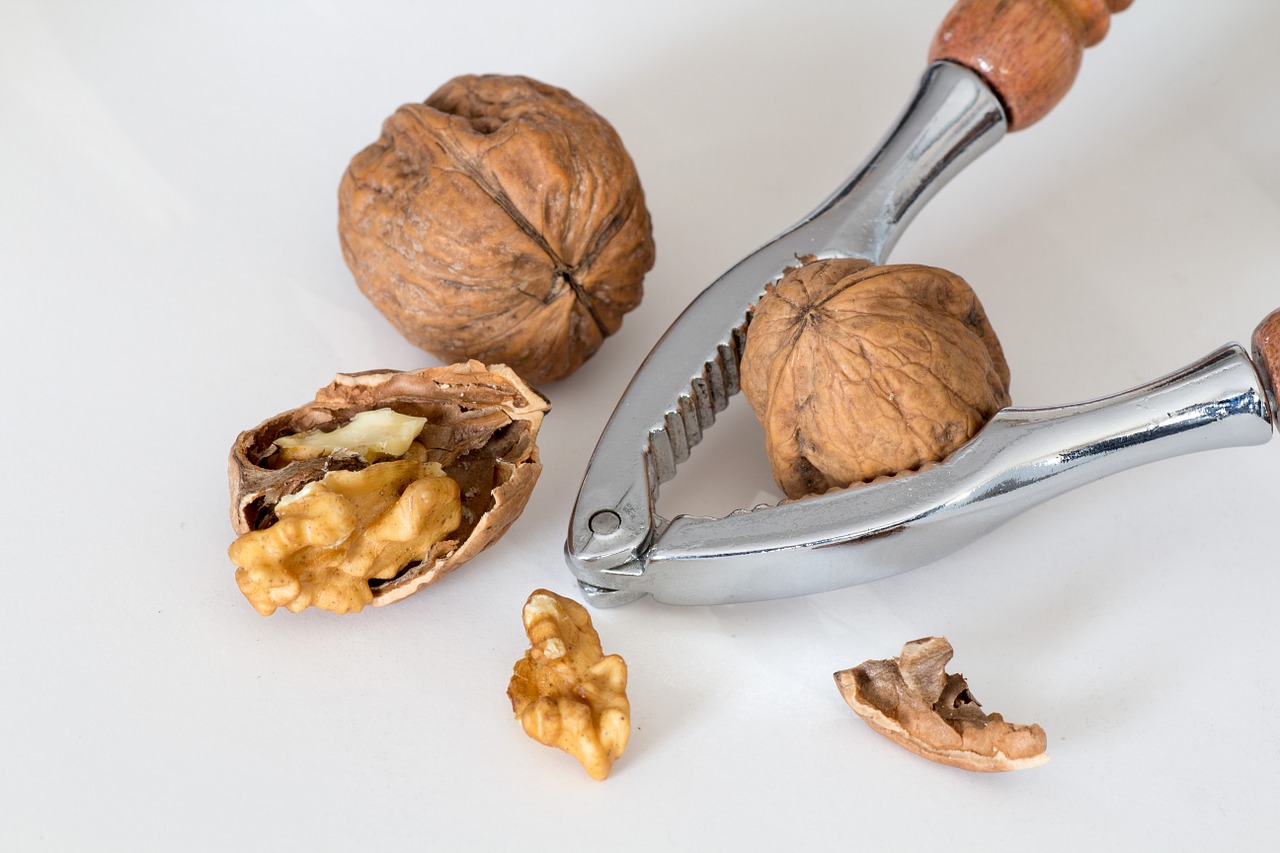 walnuts nutcracker crack free photo