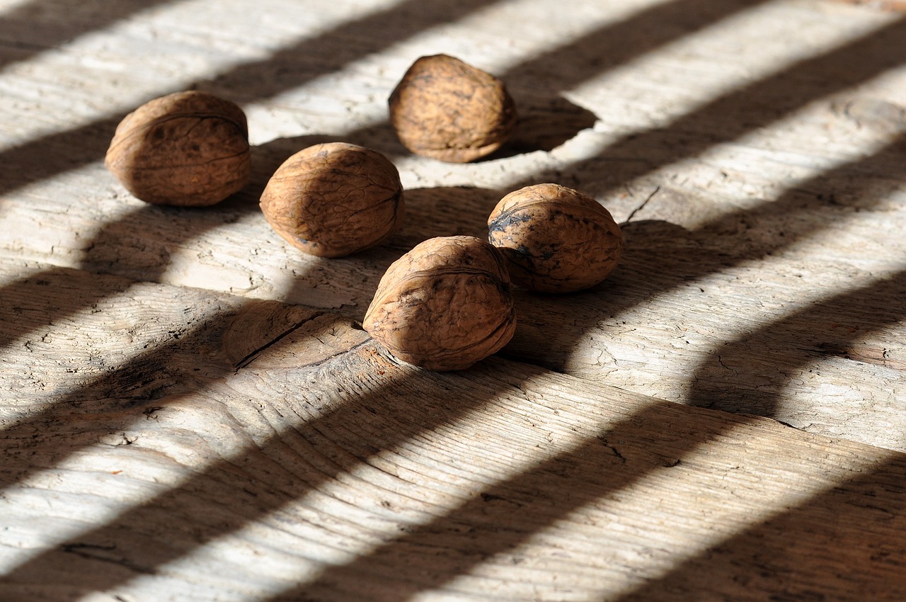 walnuts nuts healthy free photo