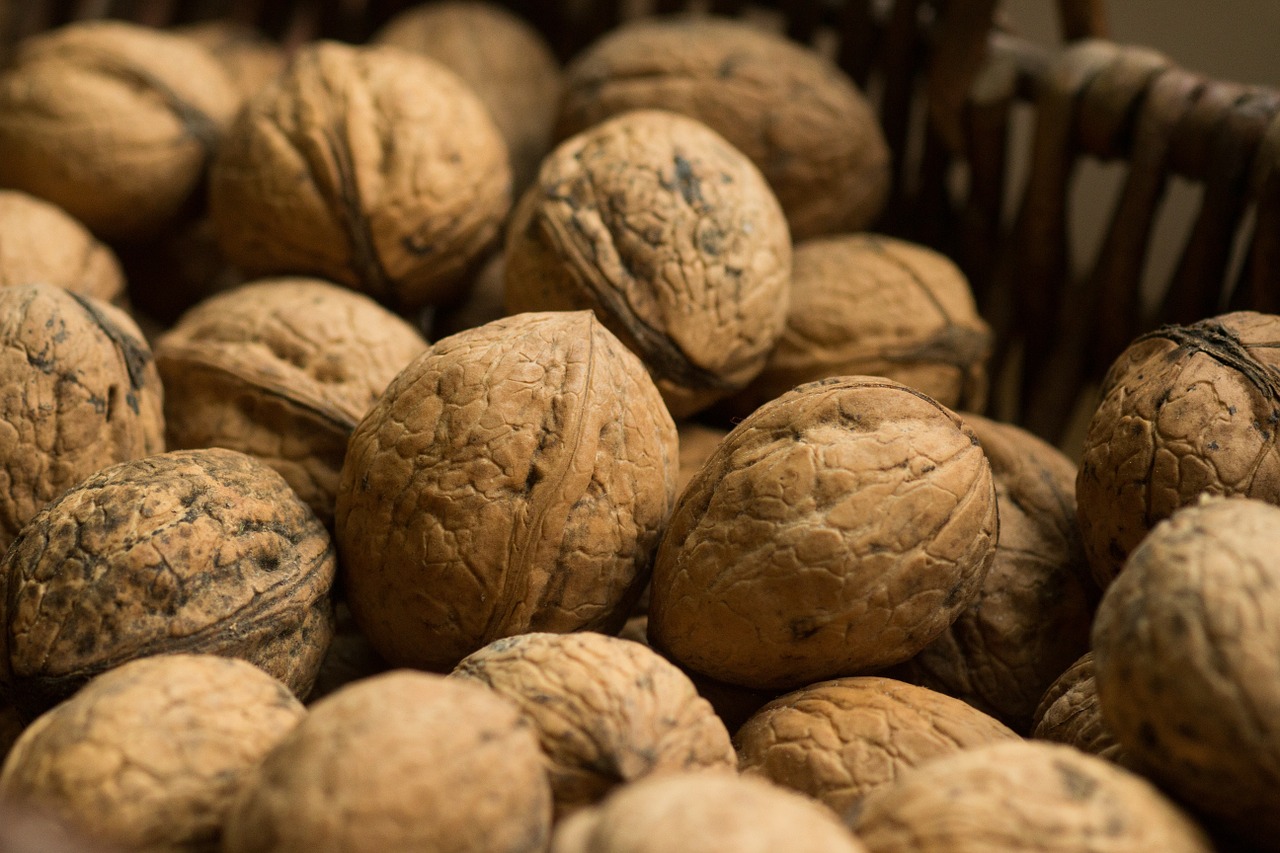 walnuts nut fruit juglans free photo