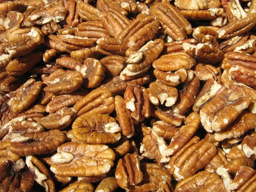 pekanuesse nuts nuclear free photo