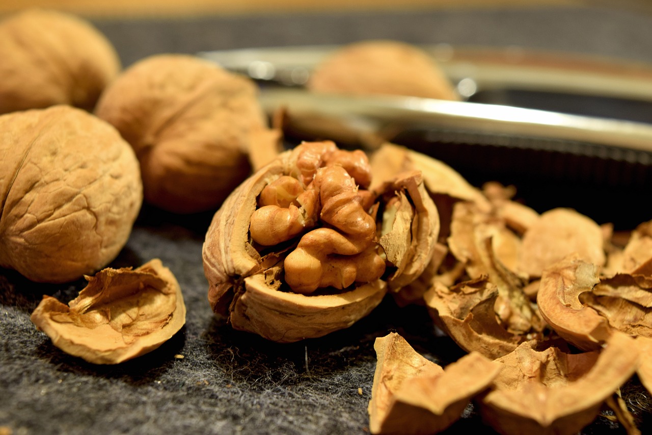 walnuts nuts snack free photo