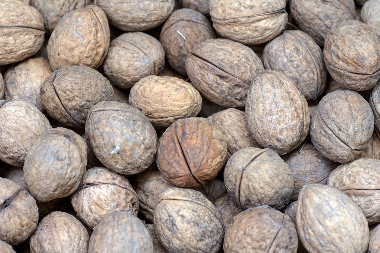 walnuts nuts close free photo