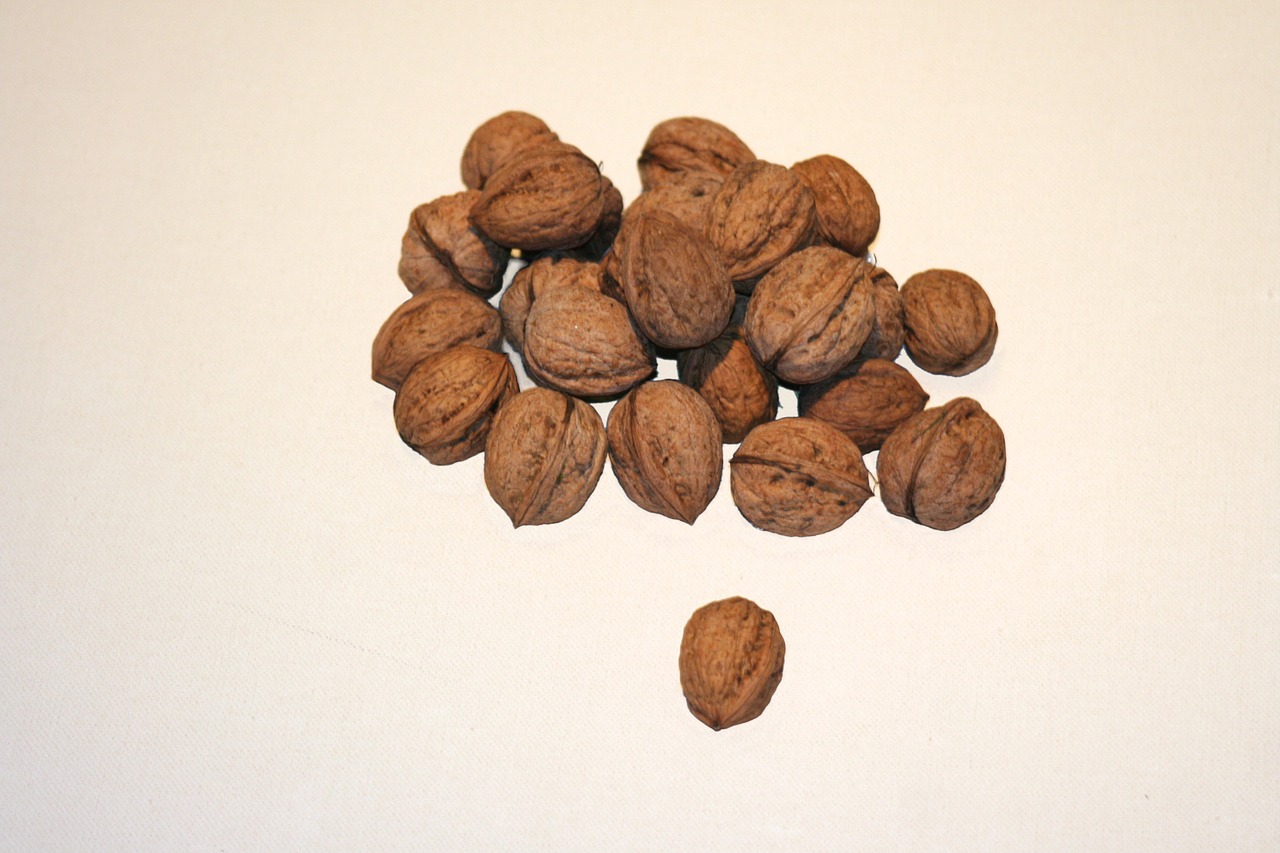 walnuts walnut nuts free photo