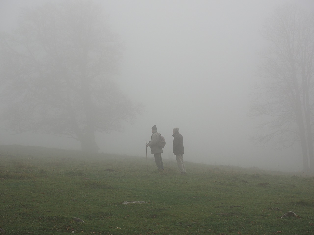 wanderer fog mystical free photo