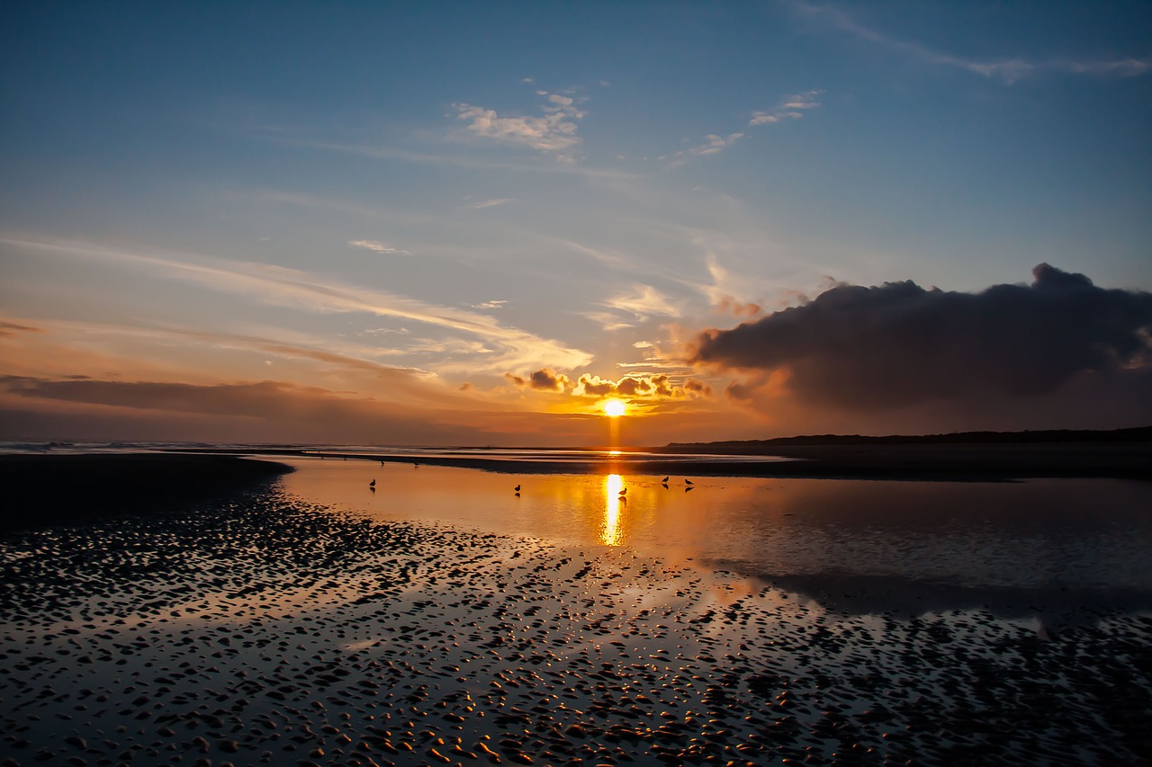 wangerooge sunrise beach free photo