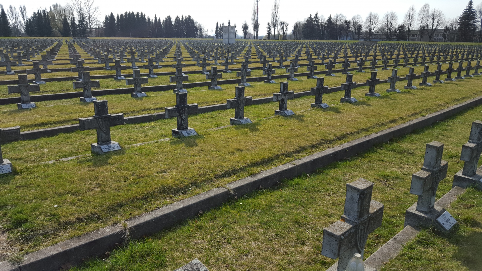 war cemetery war cemetery in zgorzelec poland free photo