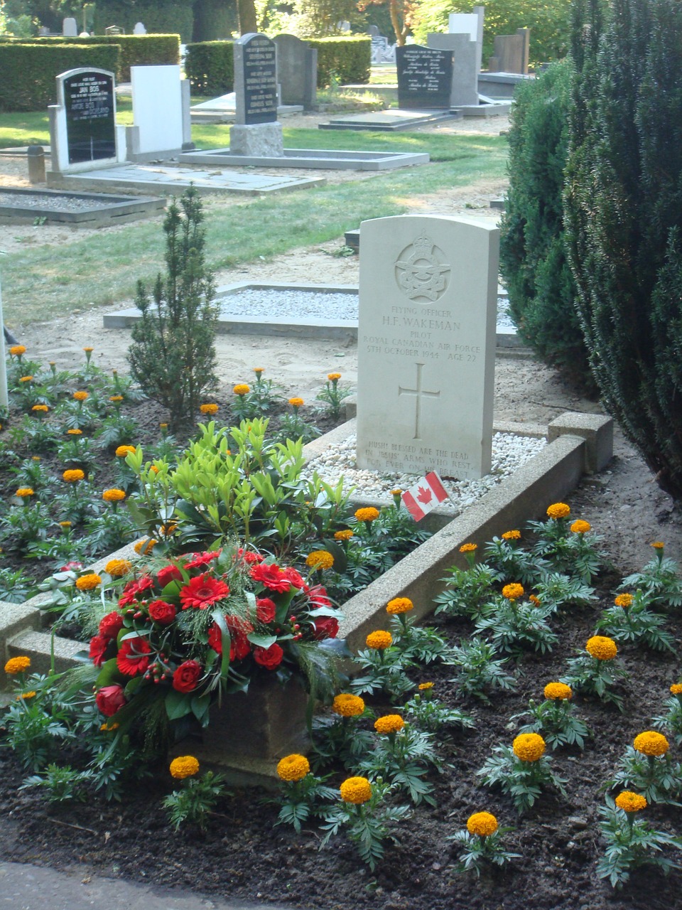 war grave commemoration pilot free photo