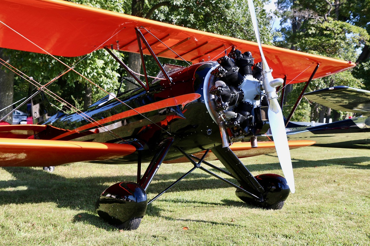 warbird airplane aviation free photo