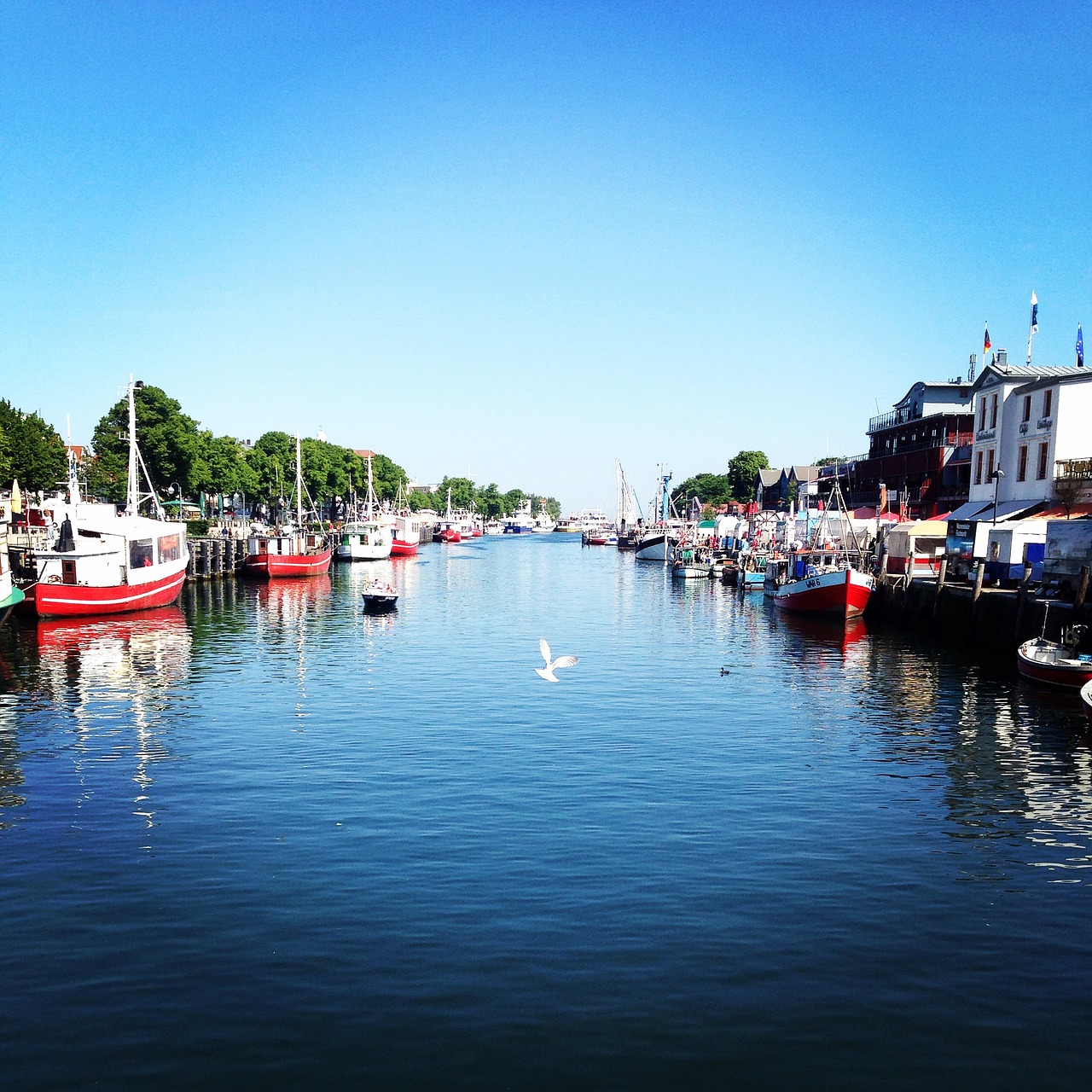 warnemünde baltic sea coast free photo