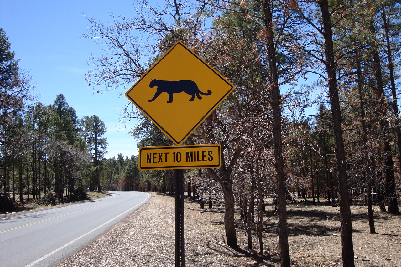 warning sign traversing wild wild animals free photo