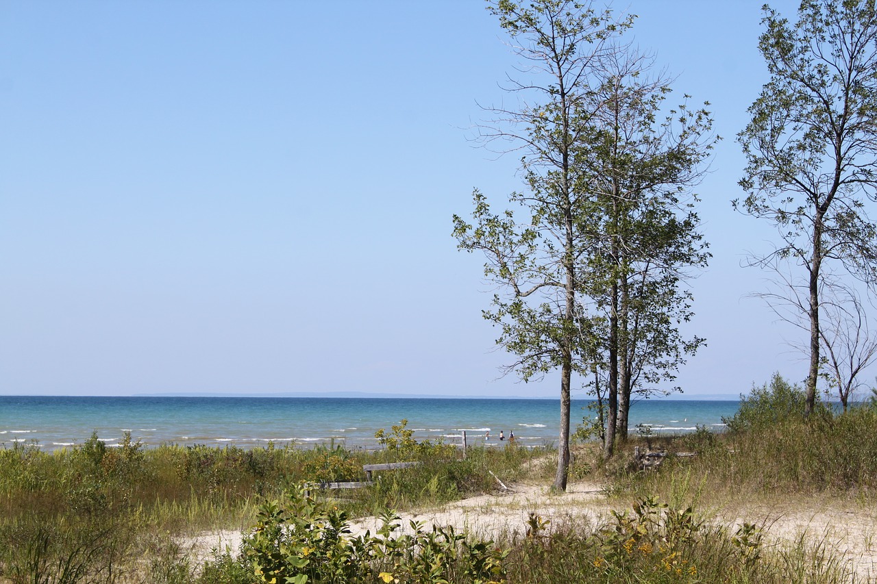 wasaga beach ontario sandy shore free photo