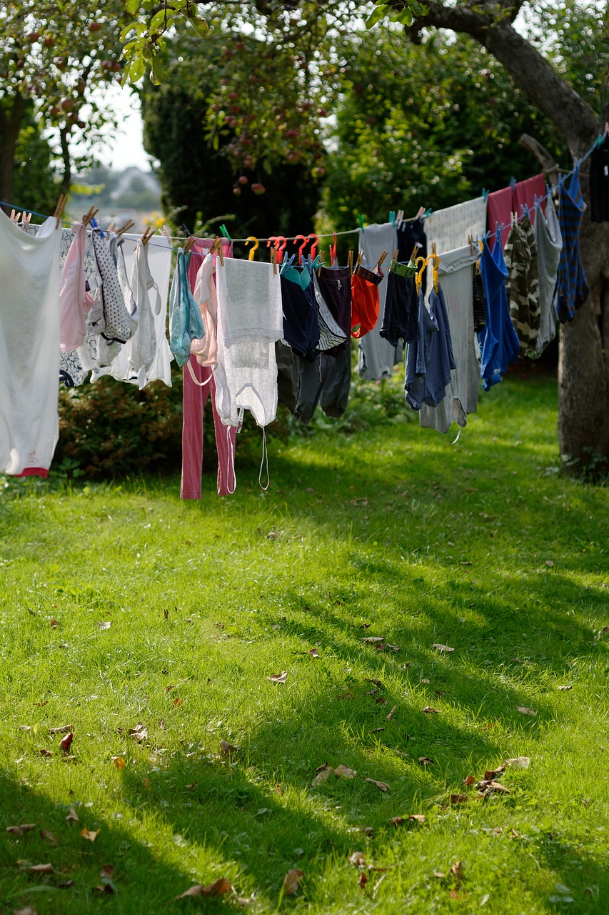 wash  dry  hang free photo