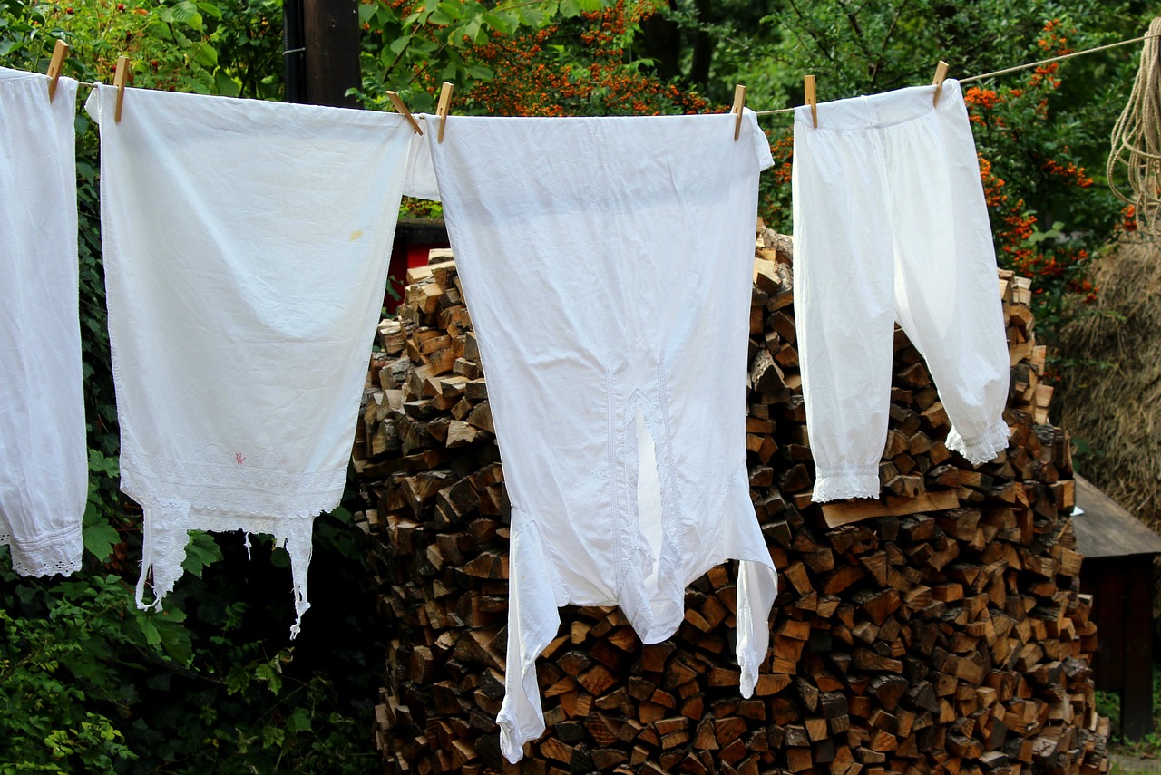 wash  clothing  hang free photo