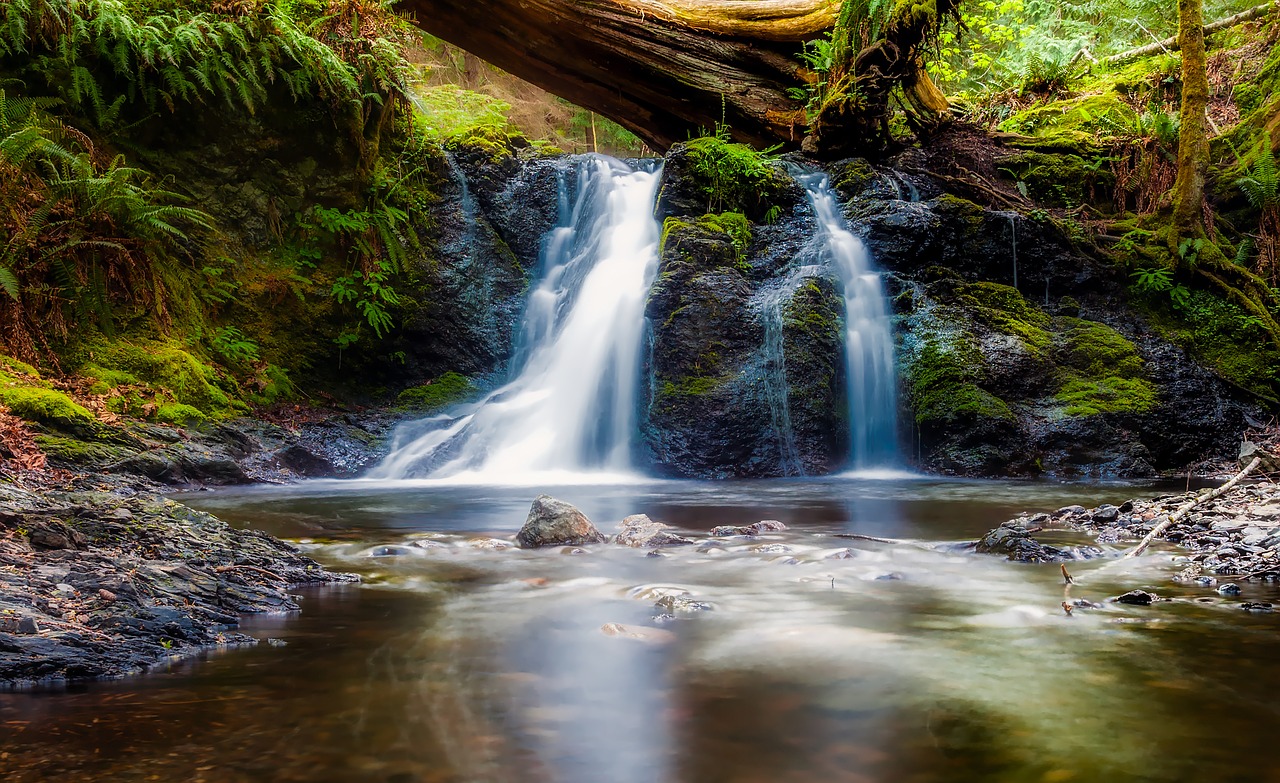 washington landscape scenic free photo