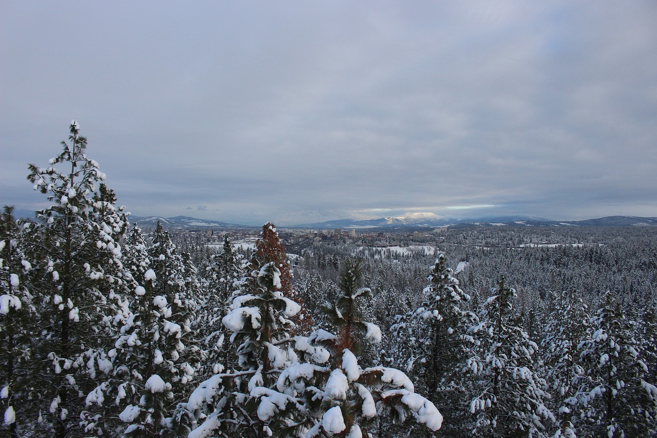 washington spokane snow free photo