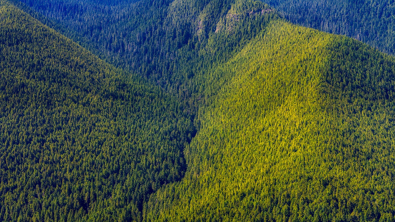 washington mountains forest free photo