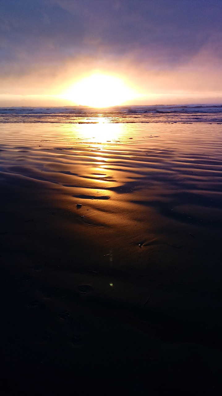 washington coast seascape free photo