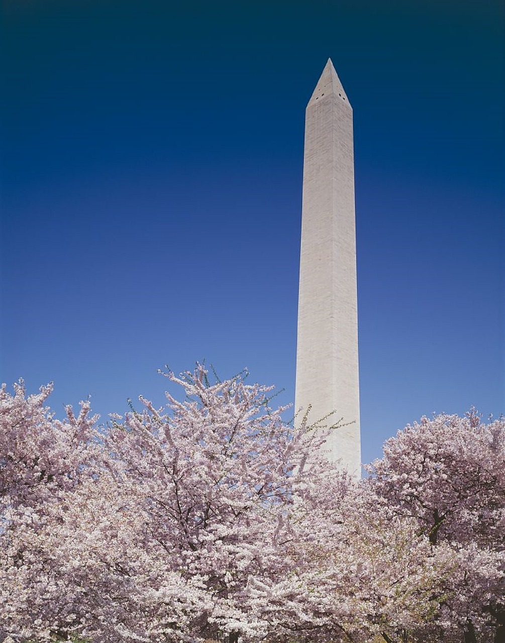 washington monument president memorial free photo