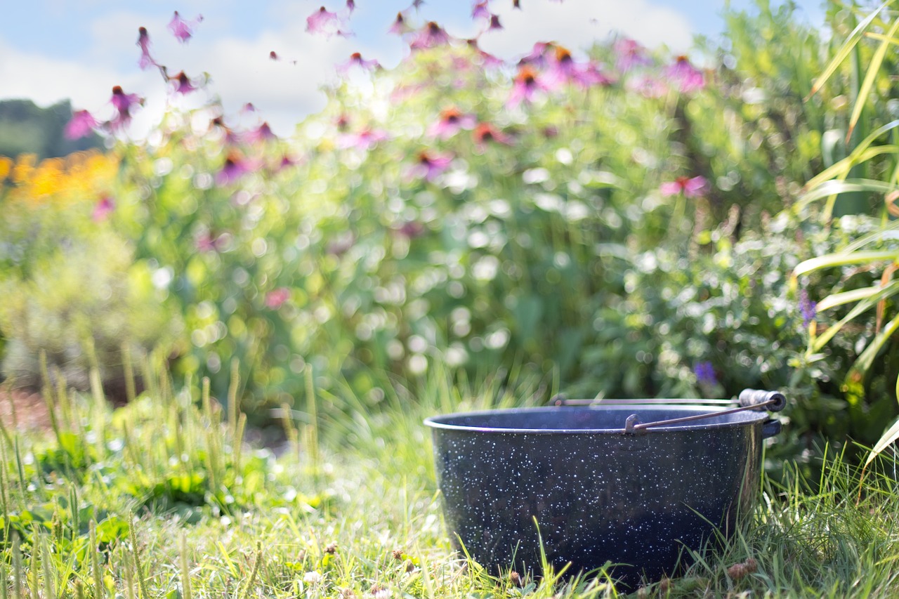 washtub kettle nature free photo