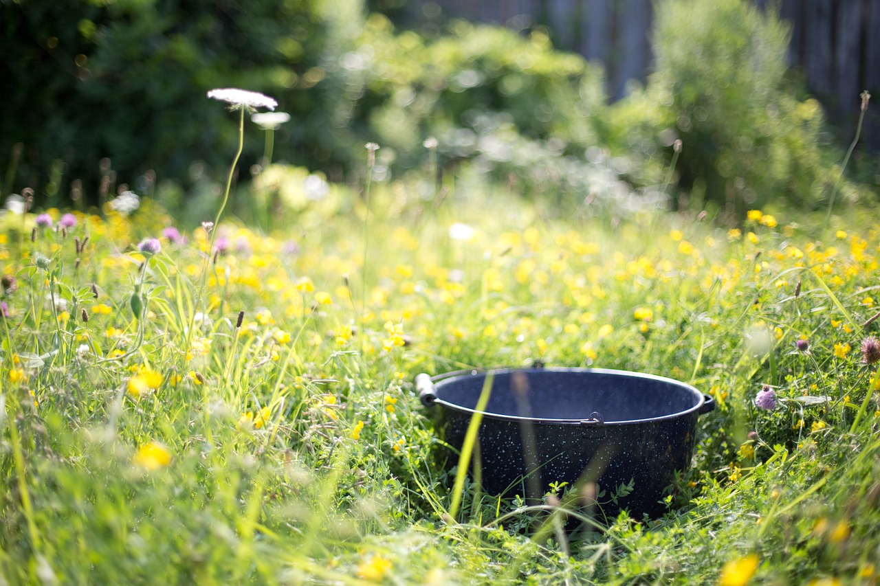 washtub kettle nature free photo