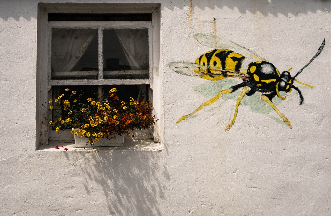 wasp window flowers free photo