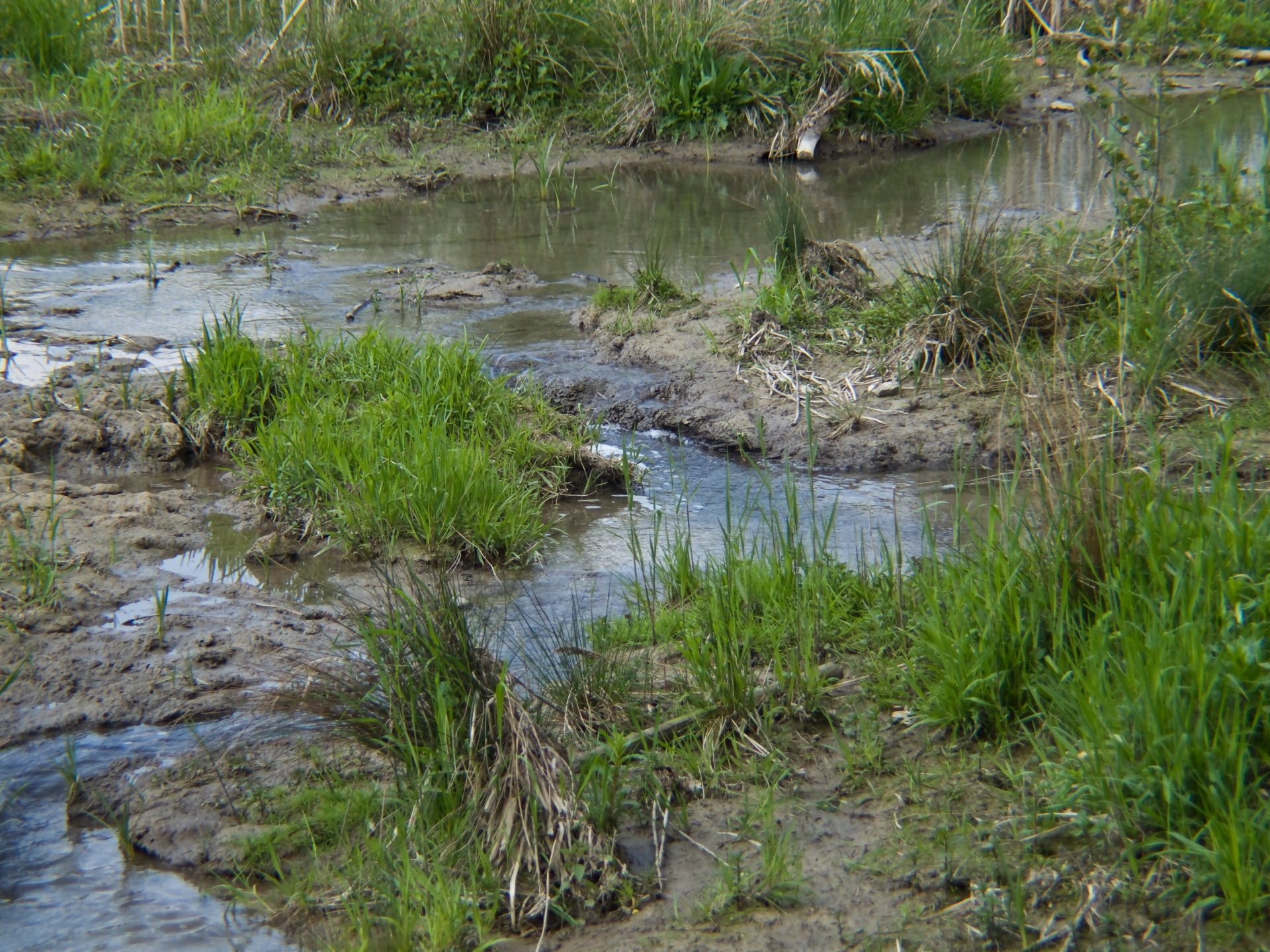 water green gravel free photo