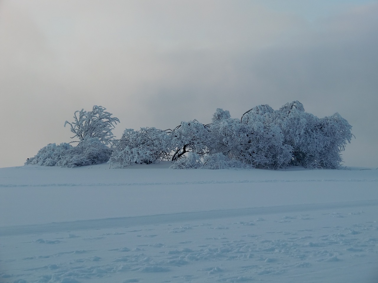 wasserkuppe wintry winter free photo