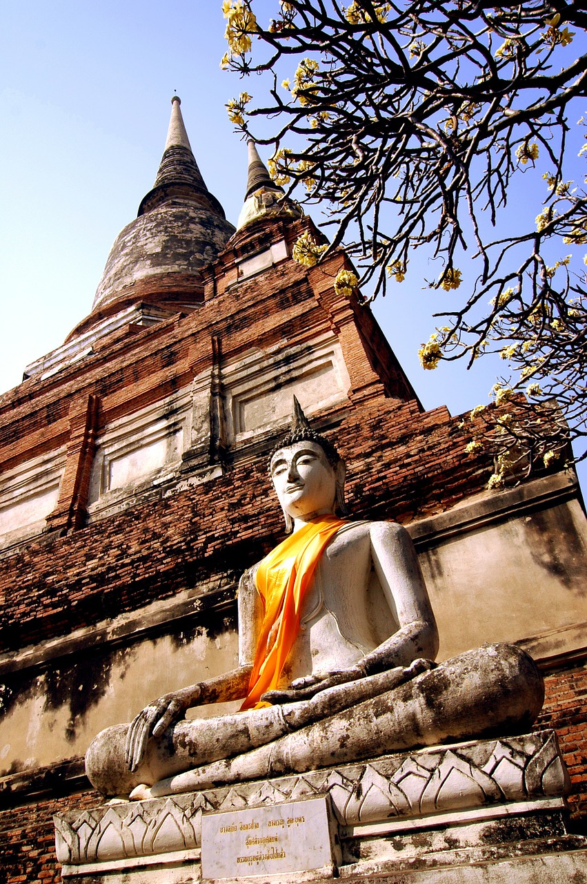 wat thailand buddha free photo