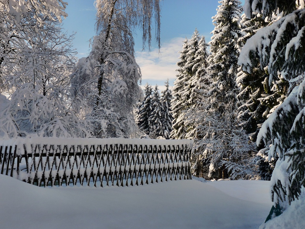 watch mountain saxon switzerland winter free photo