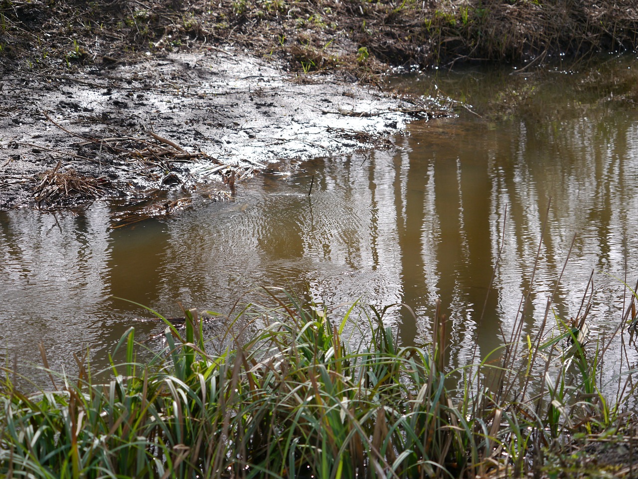 water river nature free photo