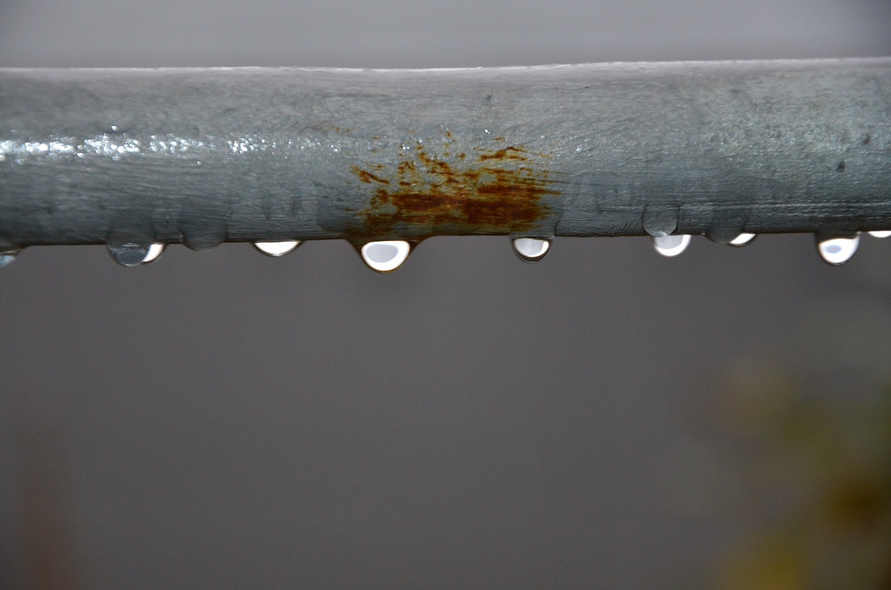 water drop rain free photo