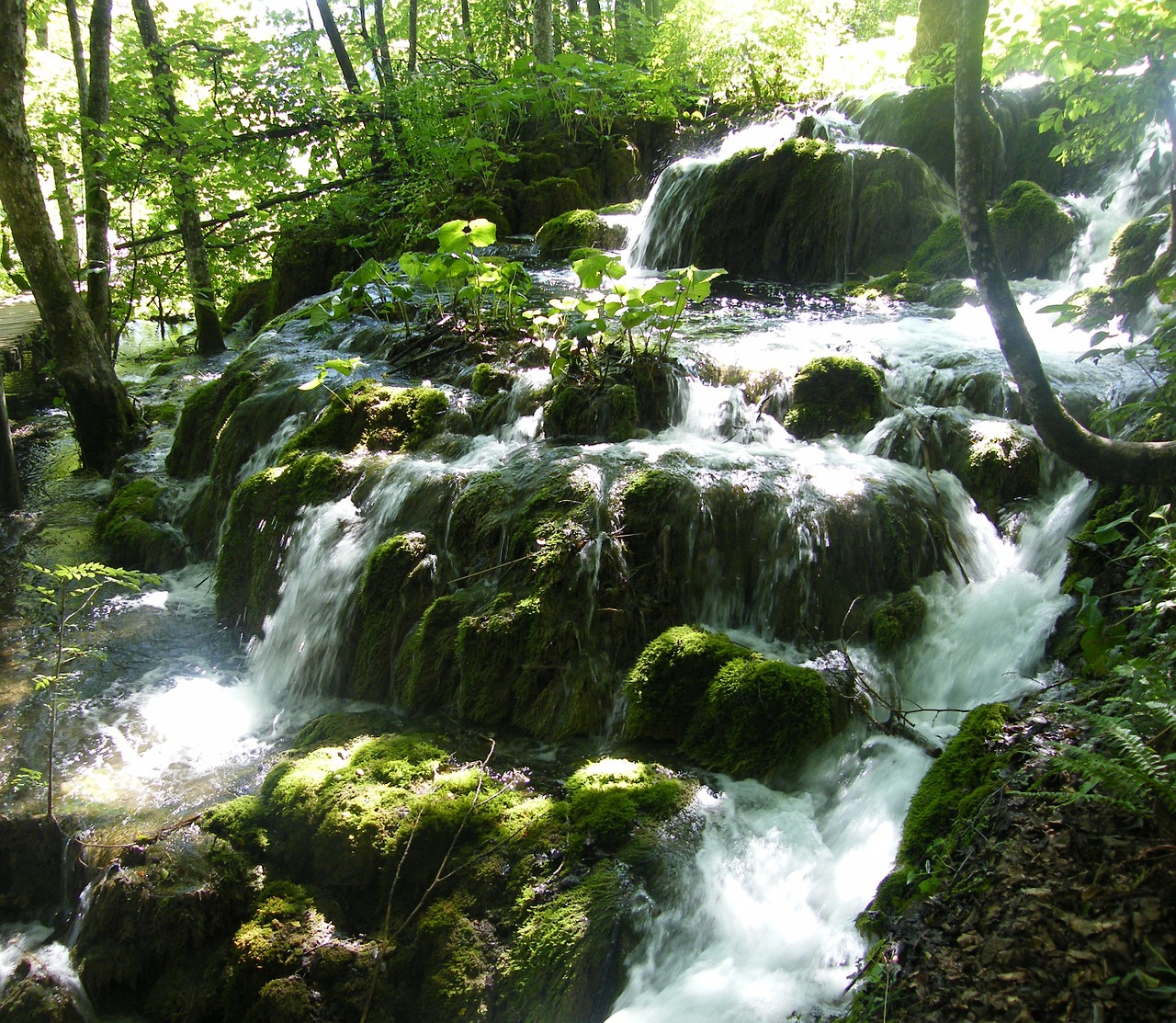 water clean europe free photo